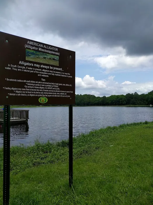 Holbrook Pond Picture 6