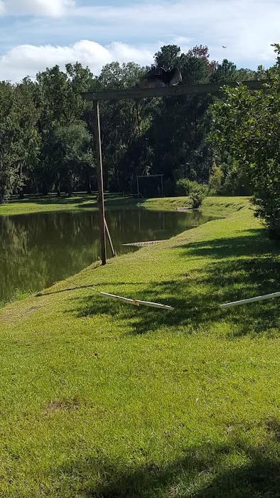 Holbrook Pond Picture 9