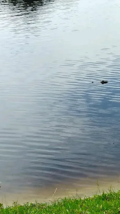 Holbrook Pond Picture 4