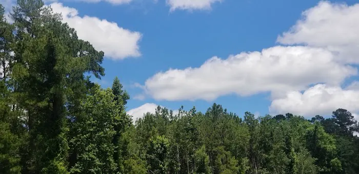 Holbrook Pond Picture 7