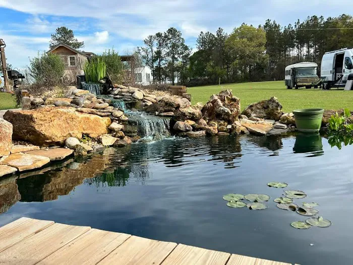 Hummingbird TINY Rental Picture 1