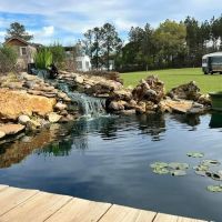 Hummingbird TINY Rental ico