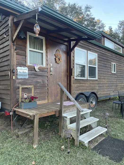 Hummingbird TINY Rental Picture 7