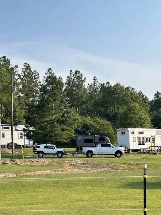 Hummingbird TINY Rental Picture 6