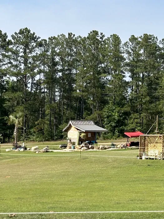 Hummingbird TINY Rental Picture 10