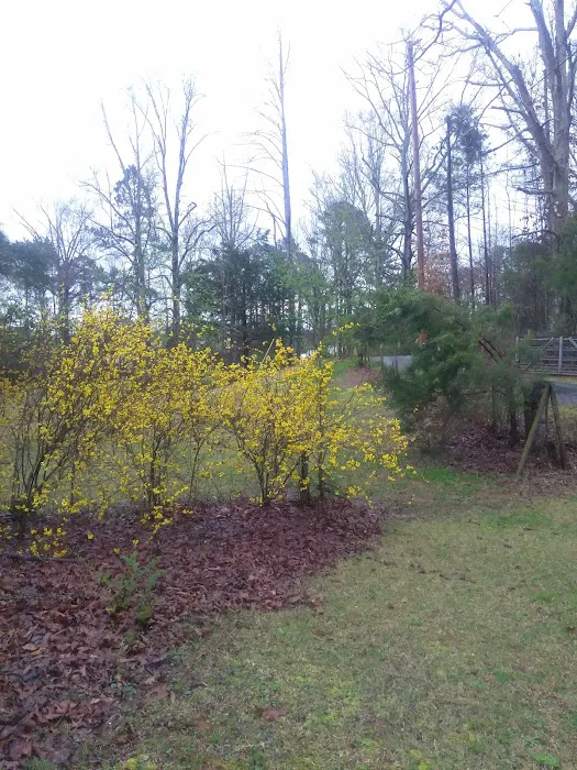 Lakepoint Campground Picture 10