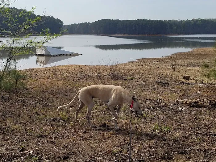 Lakepoint Campground Picture 3