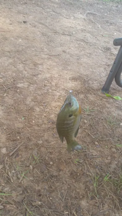 Lakepoint Campground Picture 8