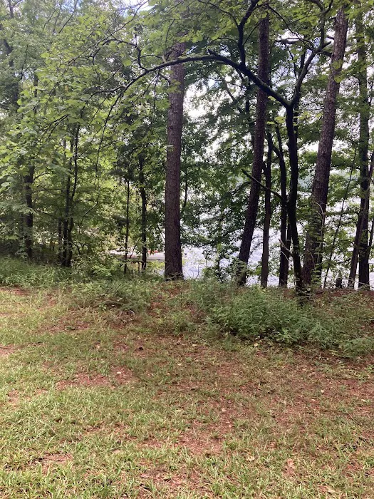 Old Highway 41 #3 Campground Picture 9