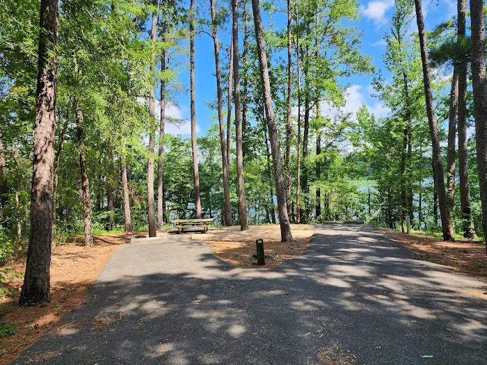 Old Highway 41 #3 Campground Picture 10