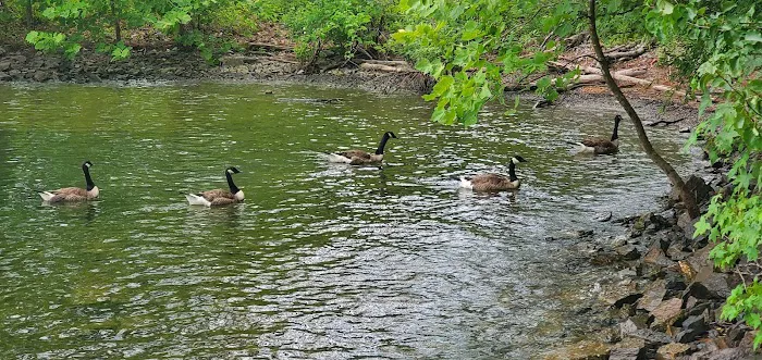 Old Highway 41 #3 Campground Picture 4