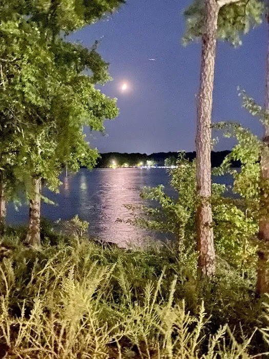 Old Highway 41 #3 Campground Picture 5