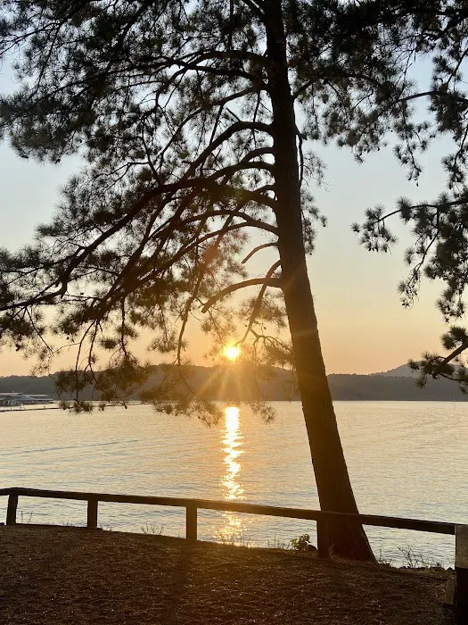 Campsite #34 Picture 1