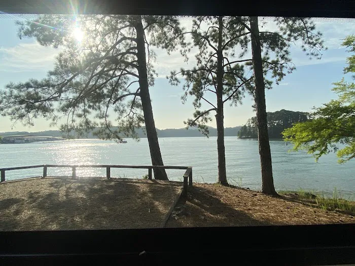 Campsite #34 Picture 7