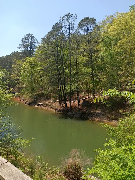 Red Top Mountain State Park Pioneer Campground Picture 4