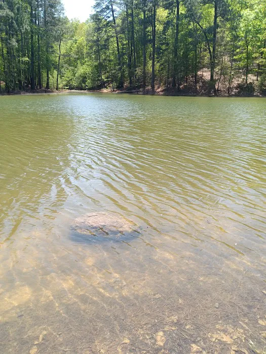 Red Top Mountain State Park Pioneer Campground Picture 2