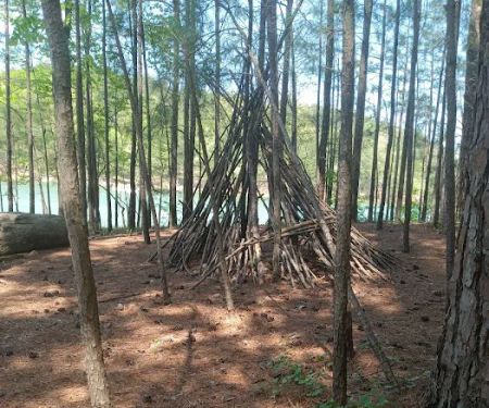 Red Top Mountain State Park Pioneer Campground