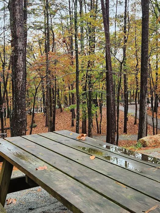 Red Top Mountain State Park Campground Picture 8