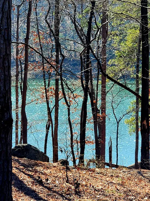 Red Top Mountain State Park Campground Picture 6