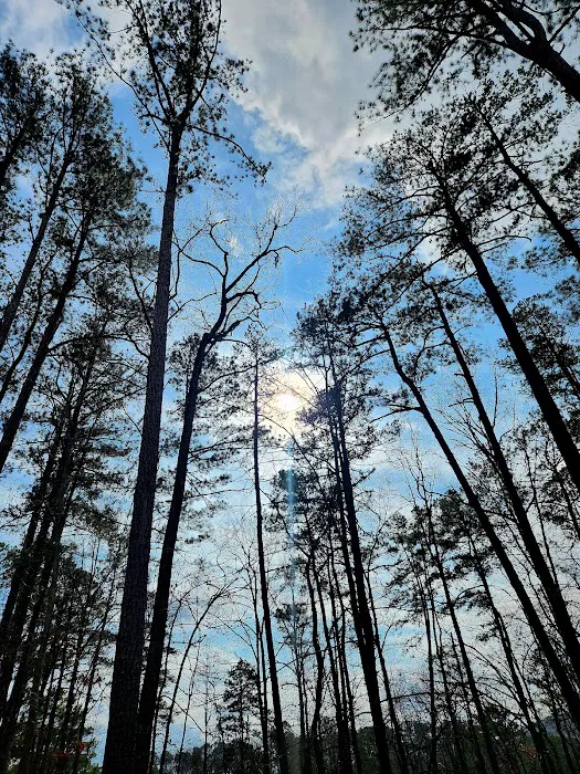 Red Top Mountain State Park Campground Picture 5