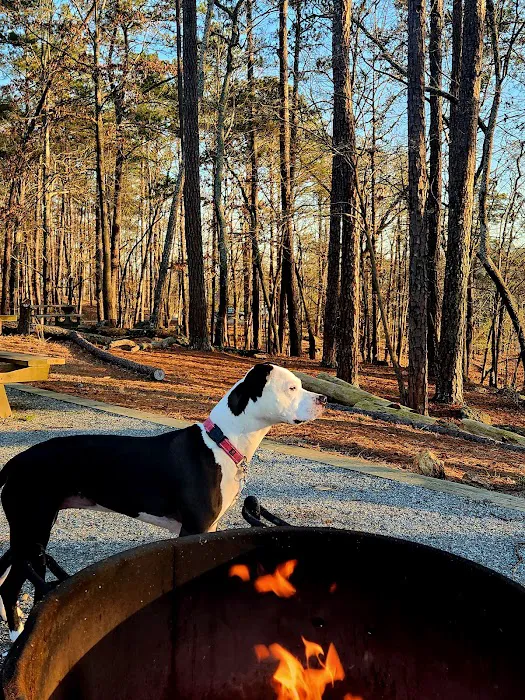 Red Top Mountain State Park Campground Picture 3