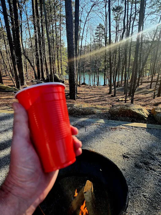 Red Top Mountain State Park Campground Picture 2