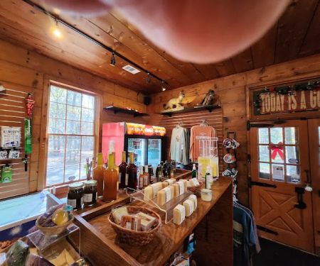 Red Top Mountain State Park Campground