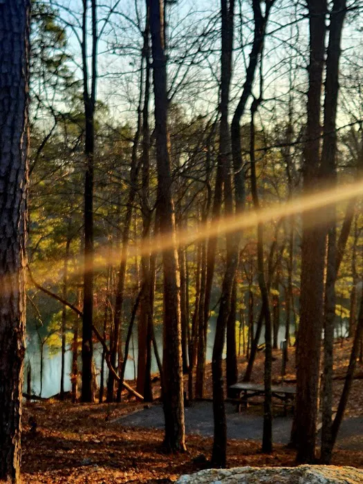 Red Top Mountain State Park Campground Picture 10