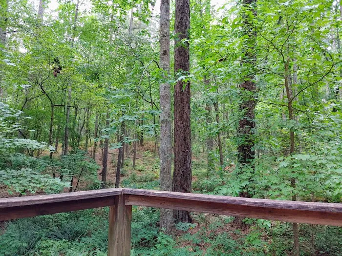 Upper Stamp Creek Campground Picture 8