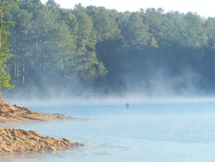 Upper Stamp Creek Campground Picture 2