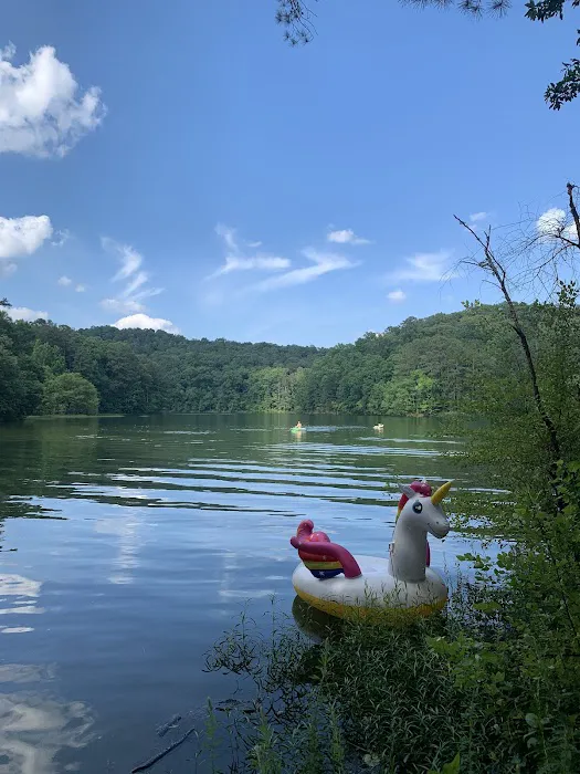 Upper Stamp Creek Campground Picture 4