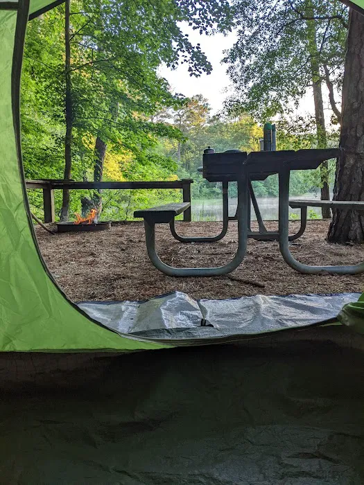 Upper Stamp Creek Campground Picture 5