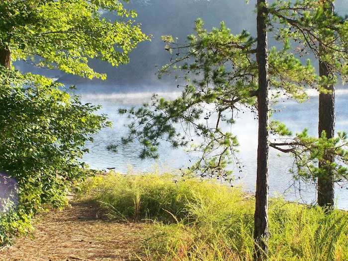 Upper Stamp Creek Campground Picture 3