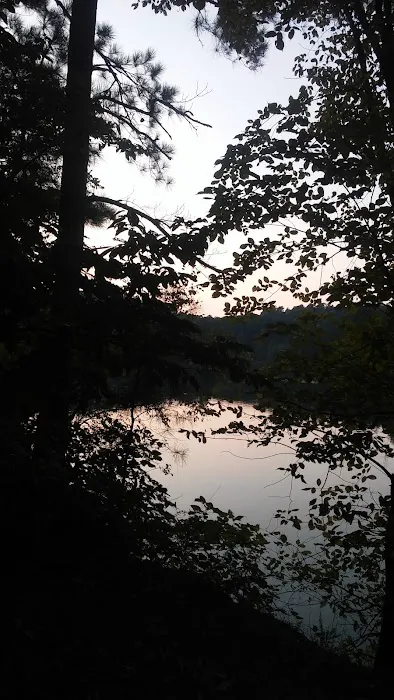 Upper Stamp Creek Campground Picture 9