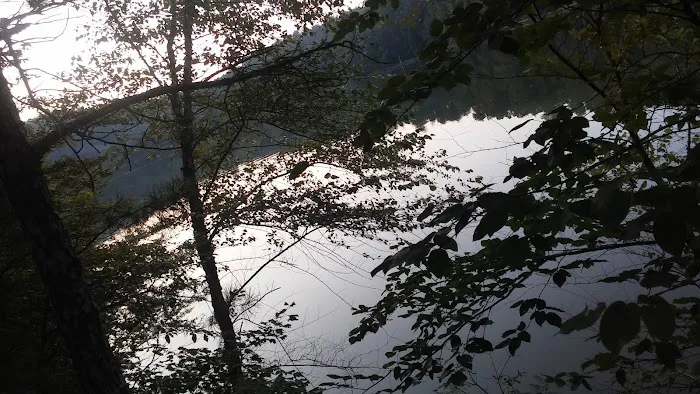 Upper Stamp Creek Campground Picture 10