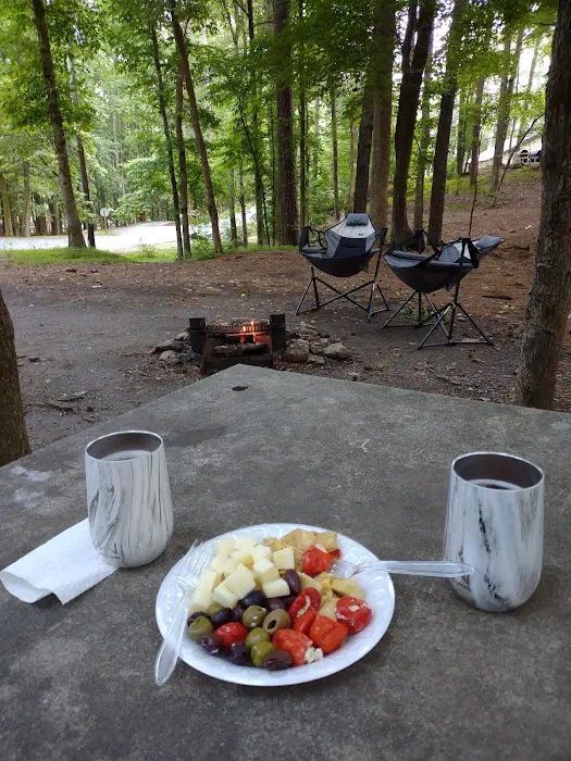 Red Top Mountain State Park Campground Picture 2