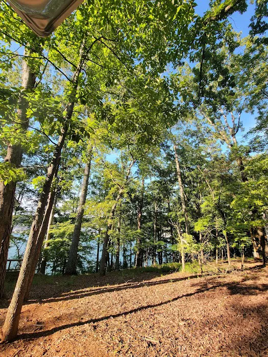 Red Top Mountain State Park Campground Picture 9