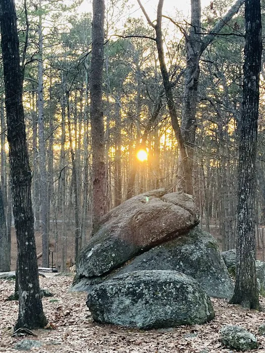 Red Top Mountain State Park Campground Picture 6