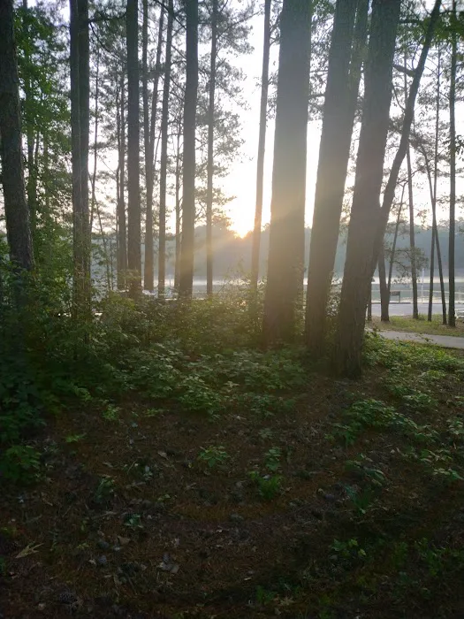 McKaskey Creek Campground Picture 6