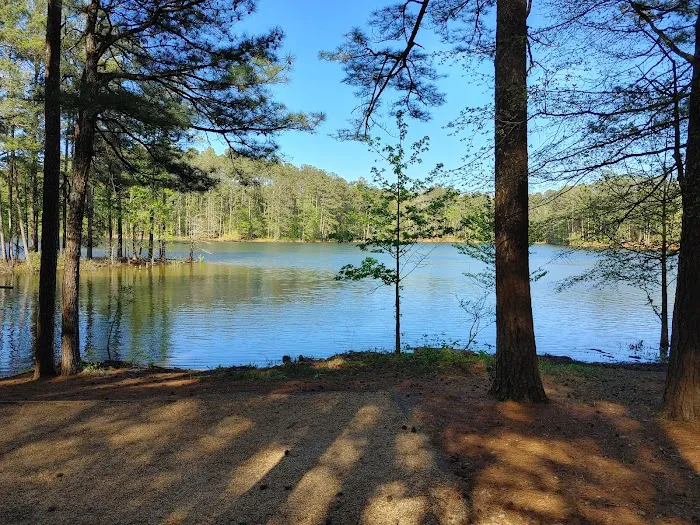 McKaskey Creek Campground Picture 4