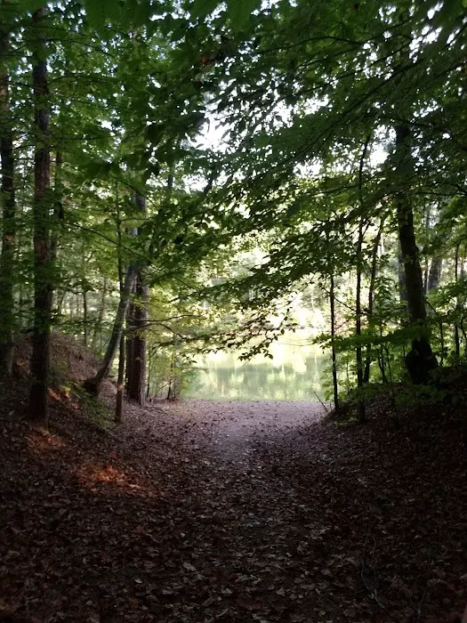 Camp Windy Waters Picture 4