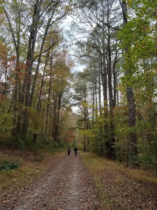 The Farm at Wilkerson Mill Camp Picture 4
