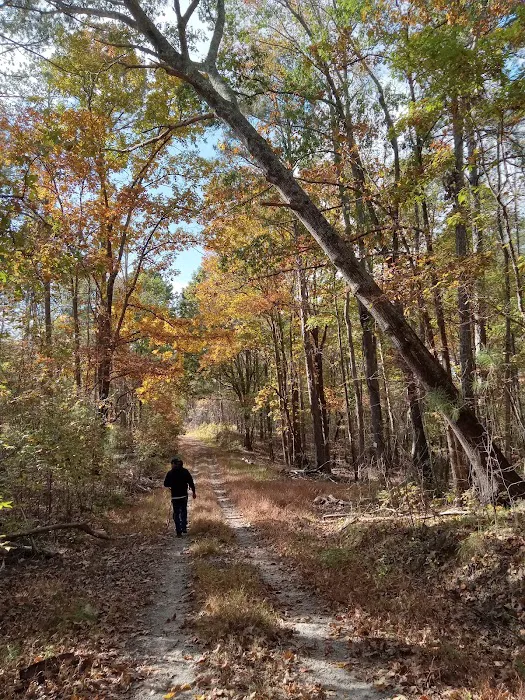 The Farm at Wilkerson Mill Camp Picture 5