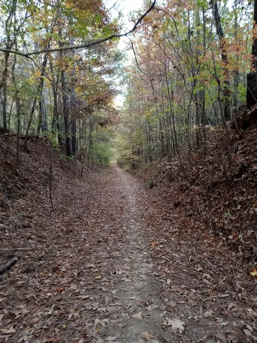 The Farm at Wilkerson Mill Camp Picture 3