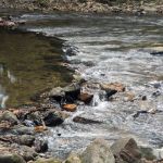 Solomans On The Creek Campground Event Center