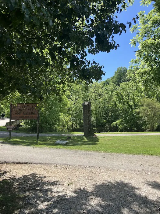 Talona Creek Campground Picture 2