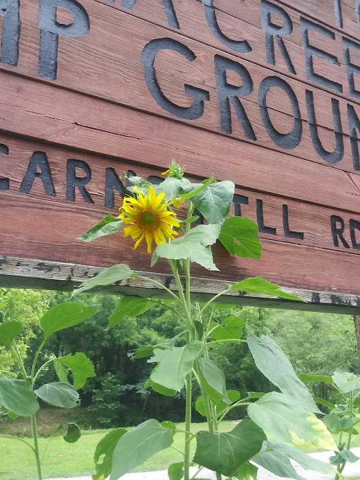 Talona Creek Campground Picture 4