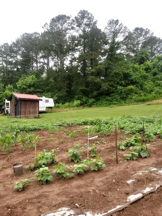 Talona Creek Campground Picture 10