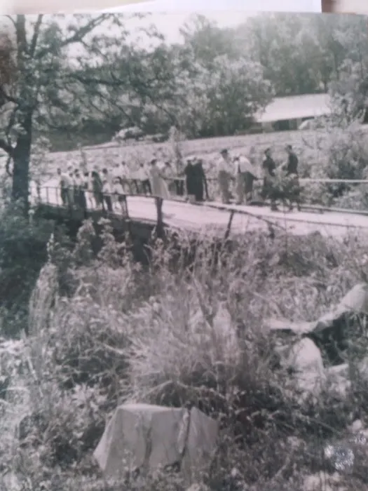 Talona Creek Campground Picture 8