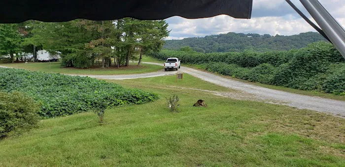 Plum Nelly Campground Picture 5